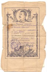 Ордена Красной Звезды, Орден Славы III степени, Орден Отечественной Войны II степени, медаль "За победу над Германией"