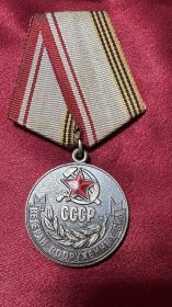Ветеран вооруженных сил СССР