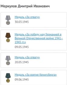 Медаль «За отвагу», Медаль «За победу над Германией в Великой Отечественной войне 1941- 1945 гг., Медаль «За отвагу», Медаль «За взятие Кенигсберга»