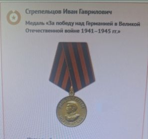 Медаль "За победу над Германией в Великой Отечественной войне 1941-1945гг."