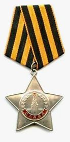 Орден Славы 3 степени