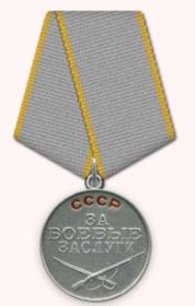 Медаль За боевые заслуги