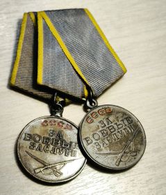 "Медали За Боевые Заслуги"