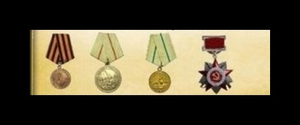 Медаль "За победу над Германией", медаль "За оборону Сталинграда", медаль "За оборону Сталинграда", медаль "Орден Отечественной войны II степени"