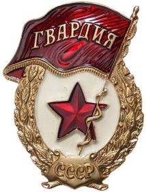 Нагрудный знак «Гвардия»