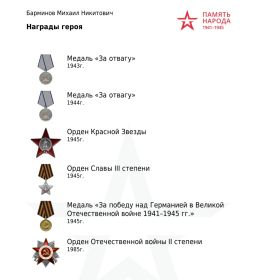 Медаль "За отвагу" 1943, медаль "За отвагу" 1944, Орден Красной Звезды, орден Славы 3 степени, медаль "За Победу над Германией в Великой Отечественной войне 1941-1945 гг.", Орден Отечественно