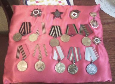 Медаль «За победу над Германией в Великой Отечественной войне 1941-1945 гг.» Медаль «За взятие Кенигсберга», Орден Красной Звезды, Орден Отечественной войны I степени