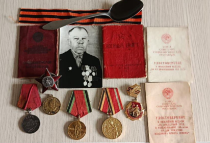 Медаль «За боевые заслуги» (2), Орден Красной Звезды (2),  Медаль «За отвагу» (2)