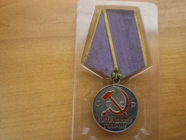 За трудовое отличие