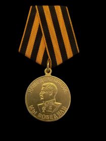 Медаль «За победу над Германией в Великой Отечественной войне 1941–1945 гг.»