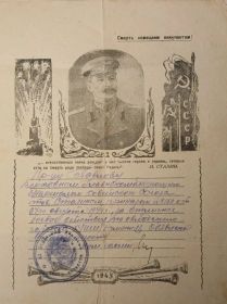 Благодарность за отличные боевые действия