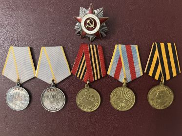 Орден "Отечественная война" 2-й ст; Медали: "За боевые заслуги" (2 шт.), "За освобождение Варшавы", "За взятие Берлина", "За победу над Германией", юбилейные