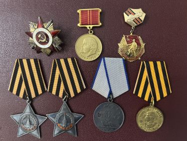 Орден "Отечественная война" 1-й степ., орден "Слава" 3-й степ., орден "Слава" 2-й степ., медали "За отвагу", "За победу над Германией", юбилейные