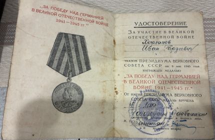 Медаль за Отвагу, Медаль за победу над Германией