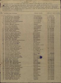 Медаль За Победу над Германией в Великой Отечественной войне 1941-1945 гг.