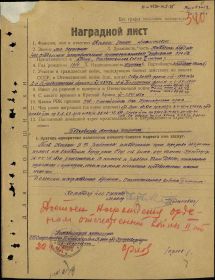 Орден Славы 1 степени