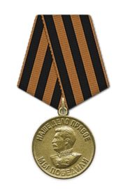 Медаль "За победу над Германией в ВОВ 1941-1945 гг.