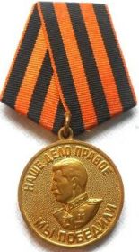 медаль "За Победу над Германией"