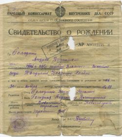 other-soldiers-files/svidetelstvo_o_rozhdenii_golodnyh_a.d.jpg