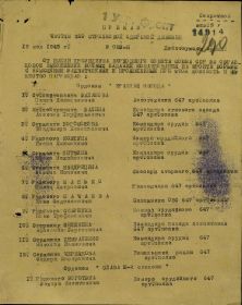 other-soldiers-files/dok1_2.jpg