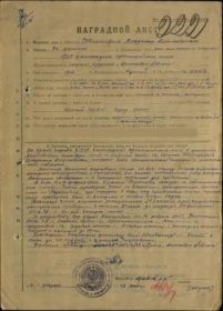 other-soldiers-files/orden_a.nevskogo_0.jpg