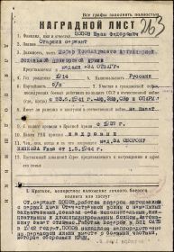 other-soldiers-files/nagradnoy_list_za_oboronu_kavkaza.jpg