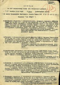 other-soldiers-files/prikaz_o_nagrazhdenii1_11.jpg