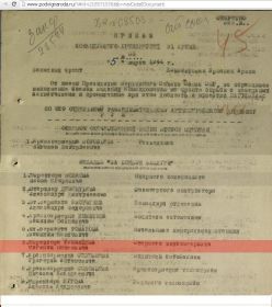 other-soldiers-files/prikaz_o_prisvoenii_medal_za_boevye_zaslugi_2.jpg