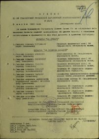 other-soldiers-files/filterimage_741.jpg