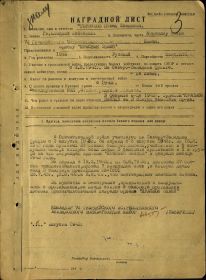 other-soldiers-files/nagradnoy_list_krasnoe_znamya_1_1_str_0.jpg