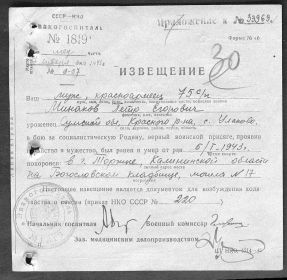 other-soldiers-files/pohoronka_na_minakova_petra.jpg