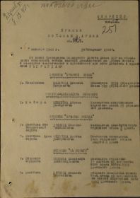 other-soldiers-files/dr.2.jpg