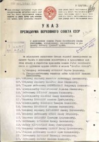 other-soldiers-files/novozhilov_vasiliy_filippovich.jpg