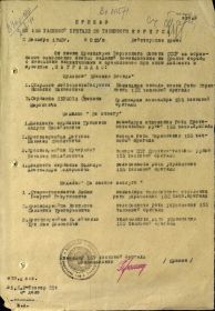 other-soldiers-files/prikaz_o_nagrazhdenii_010n_ot_02.12.1943.jpg