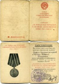 other-soldiers-files/med_za_pobedy.jpg