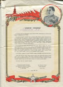 other-soldiers-files/blagodarnost_2_9.jpg