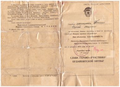 other-soldiers-files/uchastniku_budapeshtskoy_1.jpg