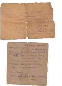 other-soldiers-files/docs-ranenie-01.jpg