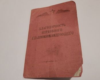 other-soldiers-files/blagodarnost_60.jpg