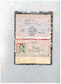 other-soldiers-files/pasport.gif