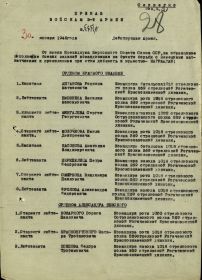 other-soldiers-files/orden_aleksandra_nevskogo_5.jpg