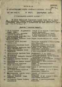 other-soldiers-files/prikaz_o_nagrazhdenii_1_19.jpg