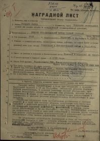 other-soldiers-files/orden_otechestvennoy_voyny_1_stepeni_3.jpg