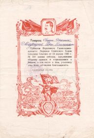 other-soldiers-files/blagodarnost_57.jpg
