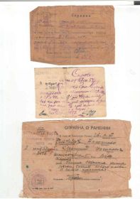 other-soldiers-files/raneniya_0.jpg