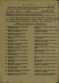 other-soldiers-files/prikaz_o_nagrazhdenii_106.jpg