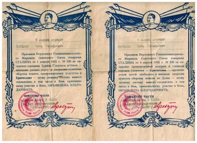other-soldiers-files/blagodarnosti_002.jpg