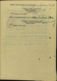 other-soldiers-files/nl_okz1.jpg