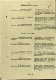 other-soldiers-files/prikaz_dmitrenko_okz1.jpg