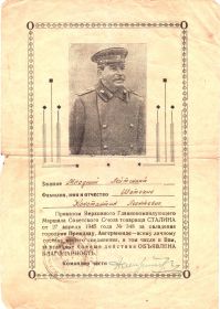 other-soldiers-files/mitrov_005_kopiya_2.jpg